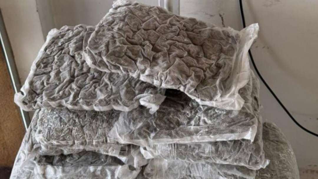 Mulher é presa em flagrante com 17 quilos de skunk em ônibus