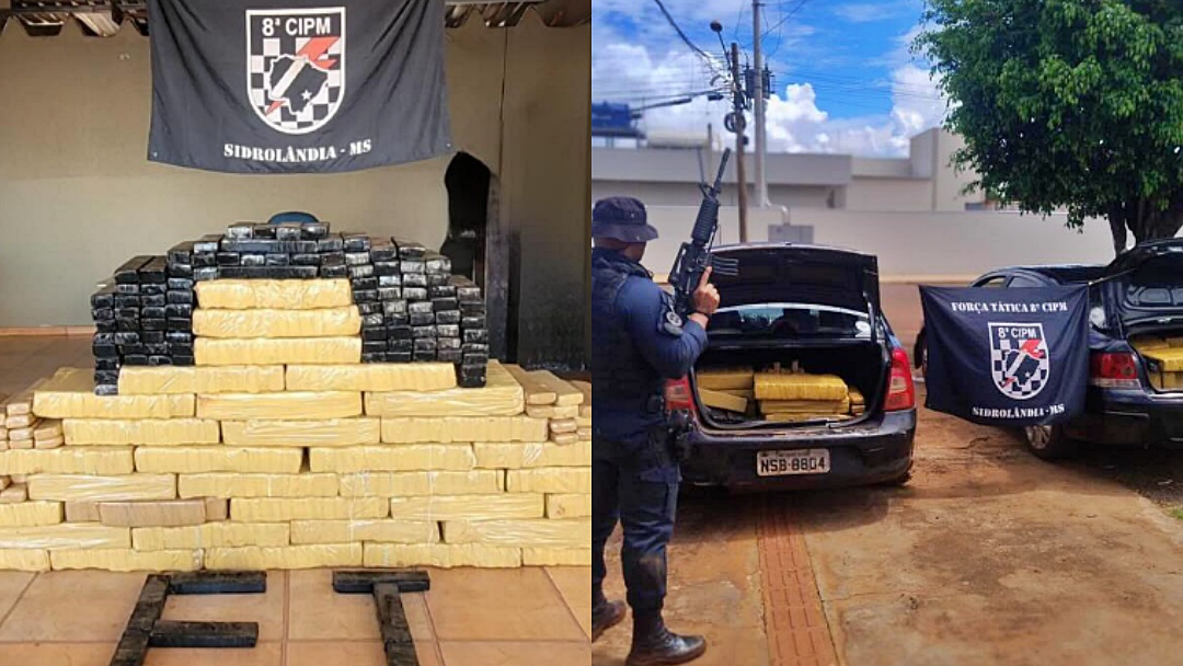 Em seis dias, For&ccedil;a T&aacute;tica apreende na zona rural mais de 1,6 tonelada de maconha