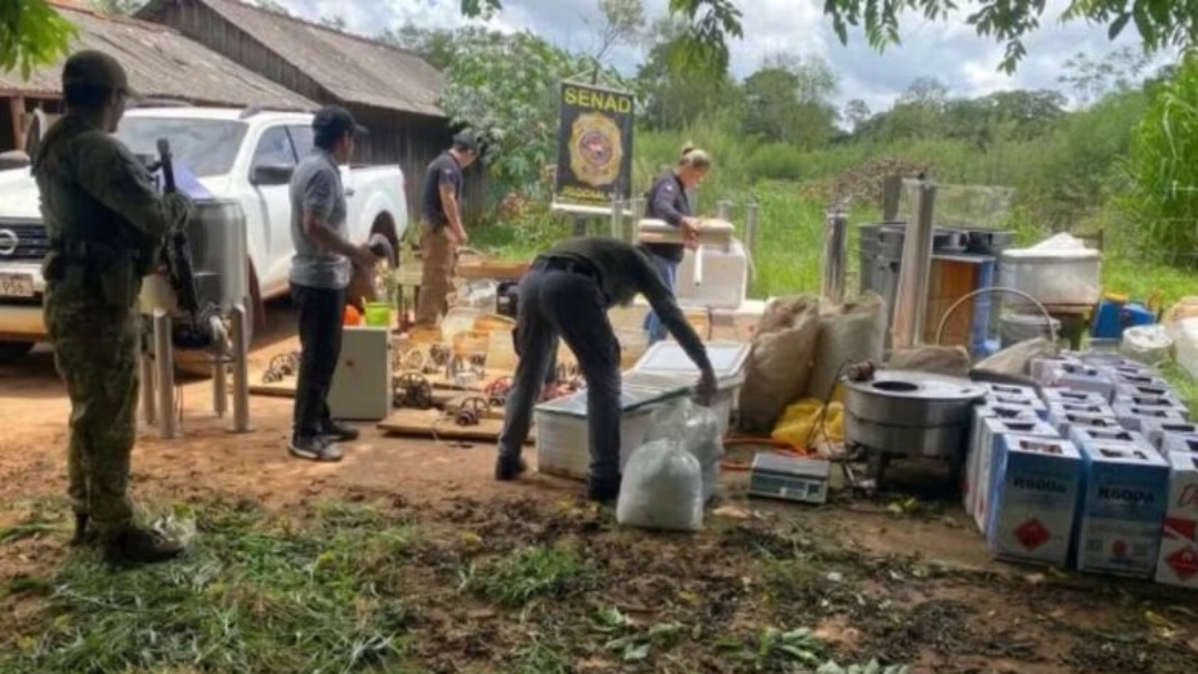 Pol&iacute;cia destr&oacute;i base usada para produ&ccedil;&atilde;o de 'maconha premium'