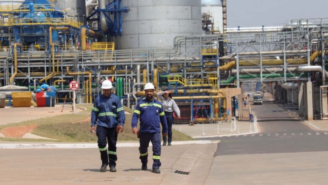 Exporta&ccedil;&otilde;es de MS somam US$ 1,43 bi e garantem super&aacute;vit