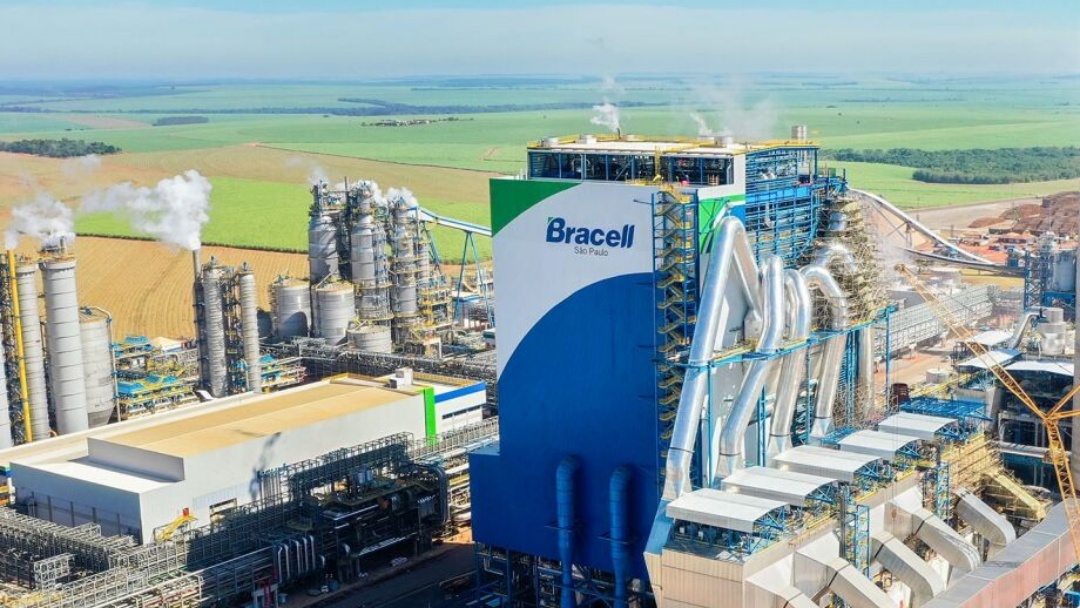 Bracell deve pedir licen&ccedil;a para f&aacute;brica de celulose em MS at&eacute; o fim deste m&ecirc;s   