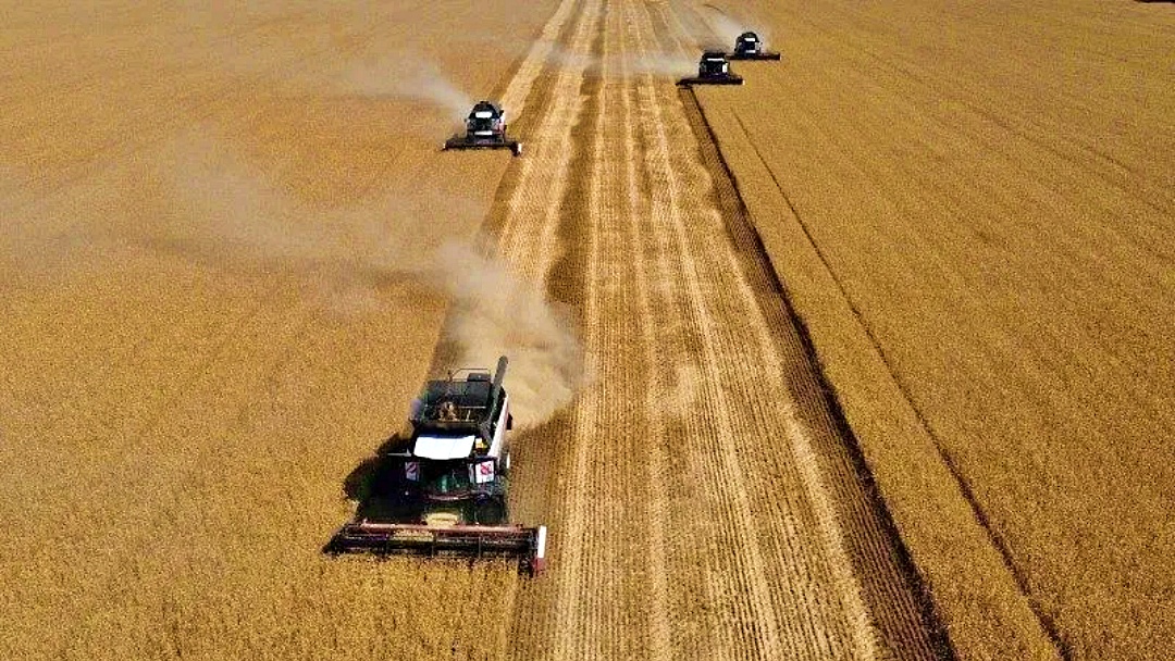 Agroneg&oacute;cio registra recorde de pedidos de recupera&ccedil;&atilde;o judicial