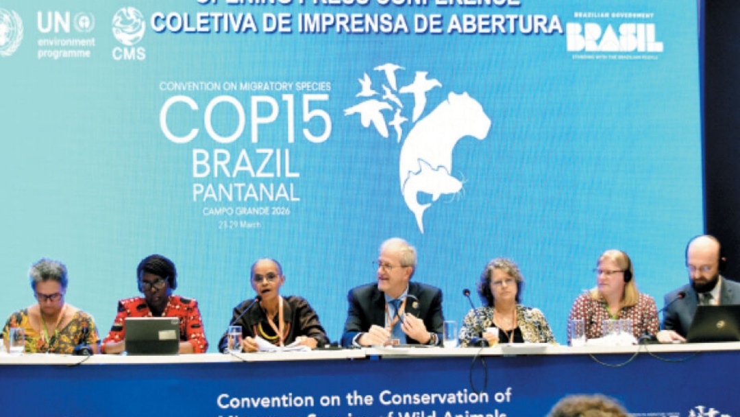 Rio da Prata vira prioridade para preservar peixes de &aacute;gua doce   