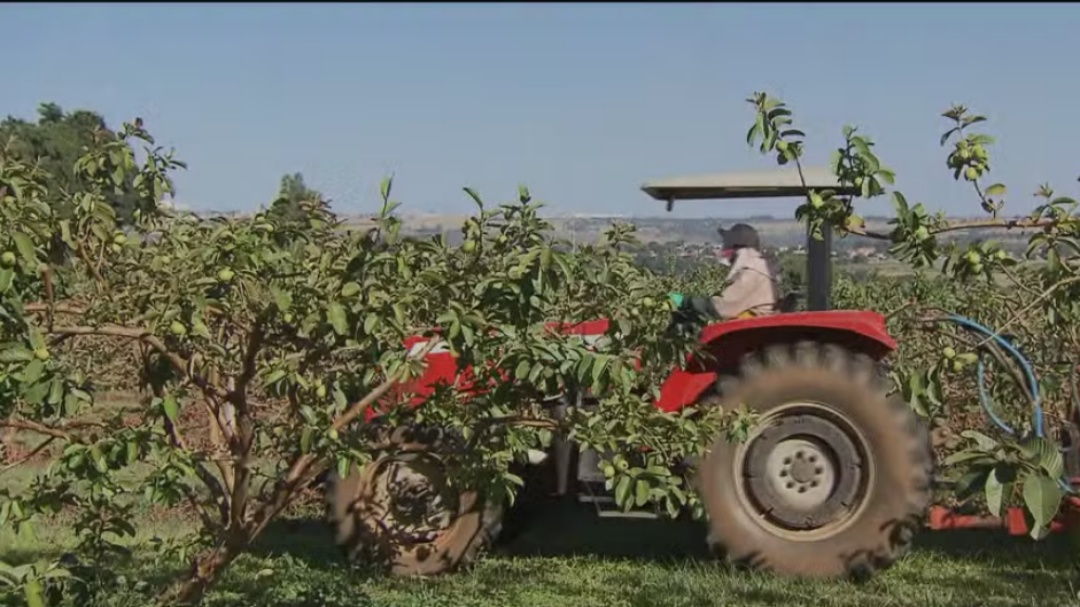 Guerra no Ir&atilde; coloca em risco o abastecimento mundial de alimentos