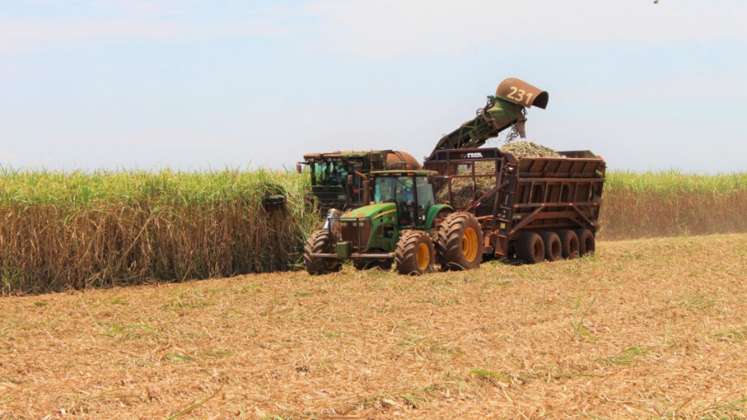 Safra de cana-de-a&ccedil;&uacute;car pode gerar maior produ&ccedil;&atilde;o de etanol da hist&oacute;ria de MS