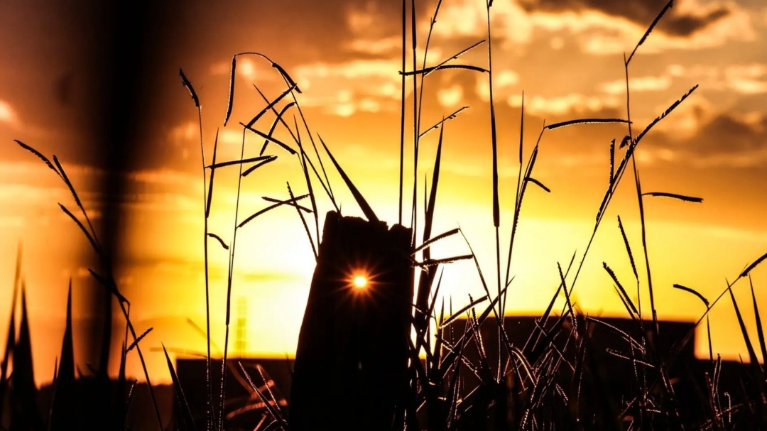 Pancadas de chuva serão isoladas enquanto calorão predomina em Mato Grosso do Sul