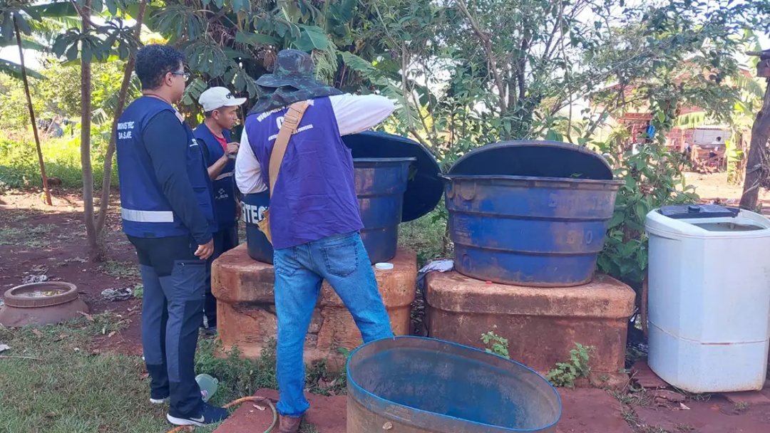 Chikungunya: entenda doen&ccedil;a que preocupa Mato Grosso do Sul