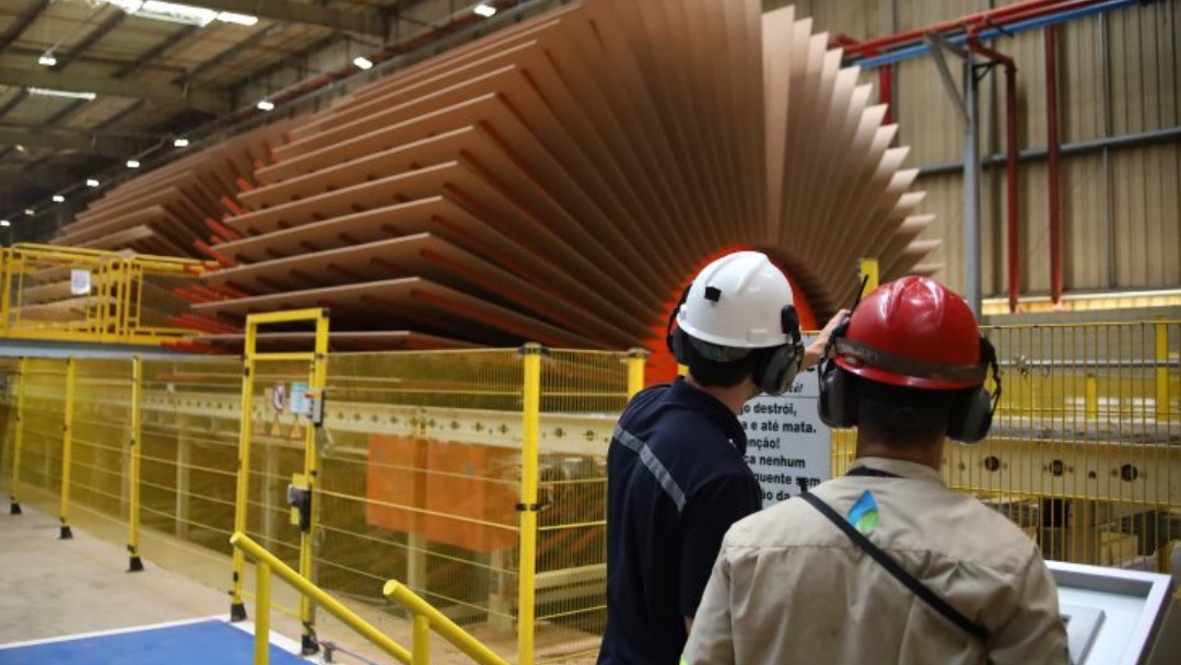 Com saldo de 6.157 empregos, Mato Grosso do Sul tem melhor desempenho no Caged em 12 meses