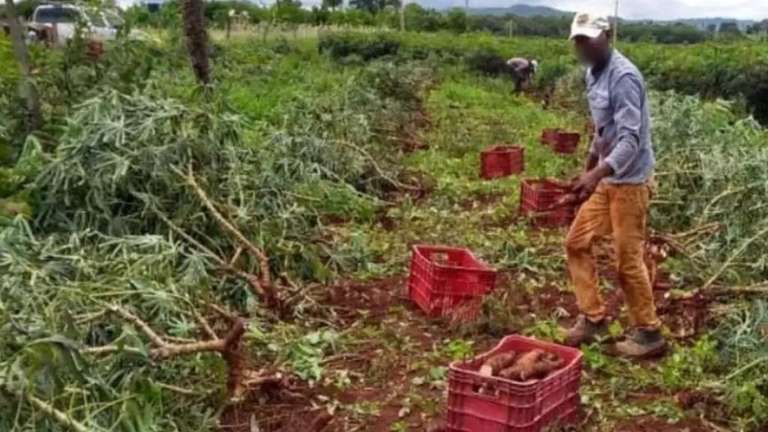 'S&oacute;cia' diz que Bernal usou documento vencido para pedir reintegra&ccedil;&atilde;o de lote no Jo&atilde;o Batista