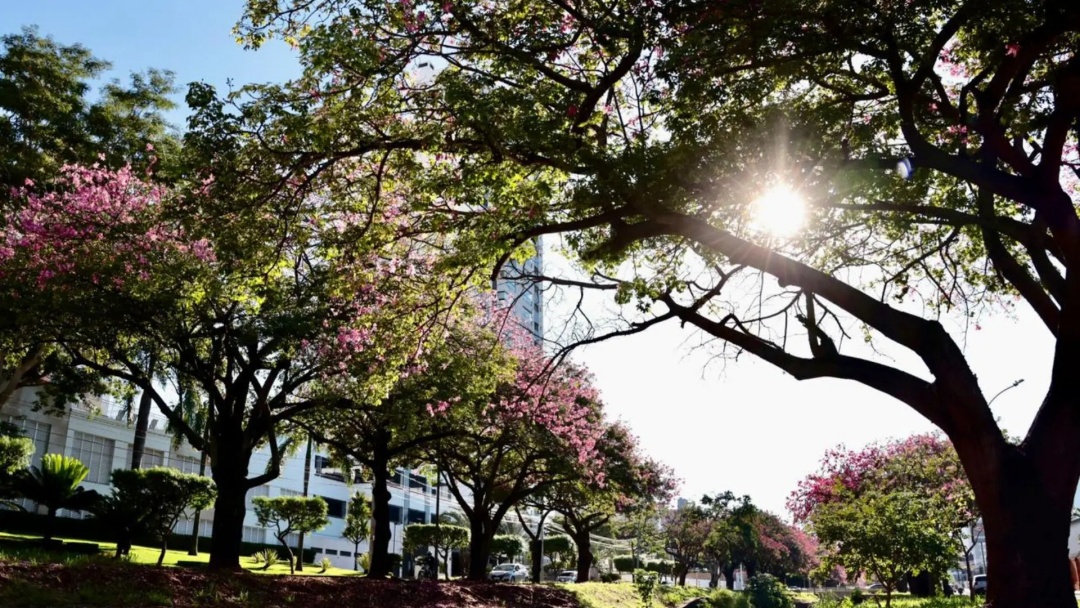 &lsquo;S&aacute;bado de Aleluia&rsquo; deve ser de calor&atilde;o e baixa umidade do ar em Mato Grosso do Sul 
