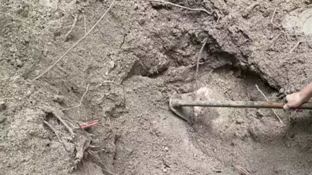 Corpos de jovens que sa&iacute;ram de MS s&atilde;o encontrados enterrados em vala no Mato Grosso