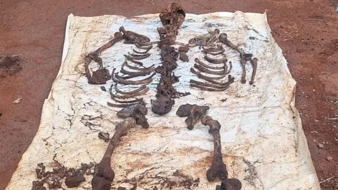 Desembargador nega liberdade a r&eacute;u de homic&iacute;dio brutal em Sidrol&acirc;ndia; caso aguarda j&uacute;ri popular