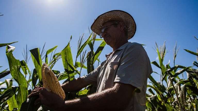 Governo prioriza o biodiesel e fortalece agricultura familiar