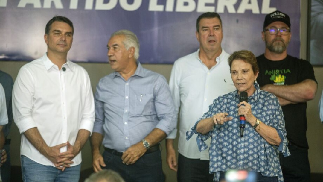 Tereza Cristina descarta ser vice e diz que vai buscar a presid&ecirc;ncia do Senado   