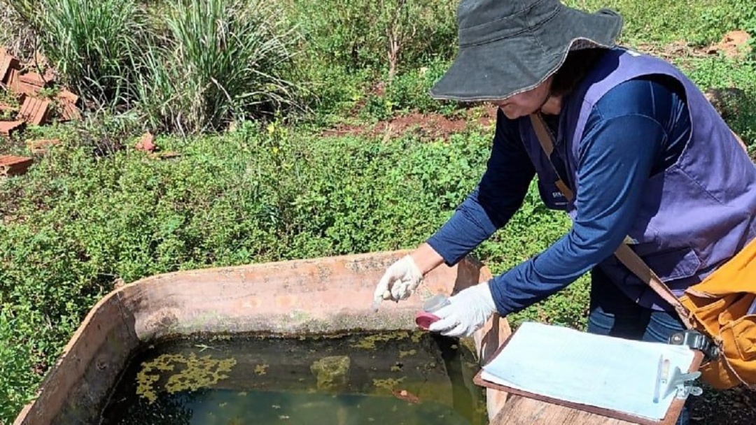 Chikungunya soma dez mortes e acende alerta em Mato Grosso do Sul