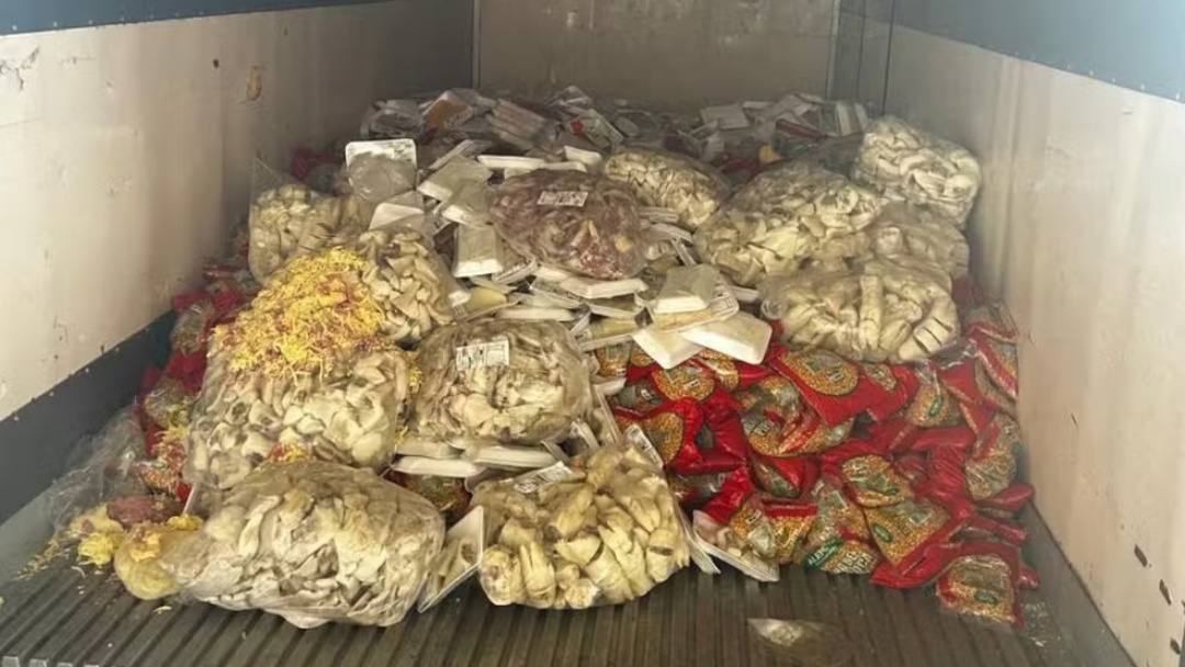10 toneladas de queijos e carnes vencidos acendem alerta: veja como identificar produtos 