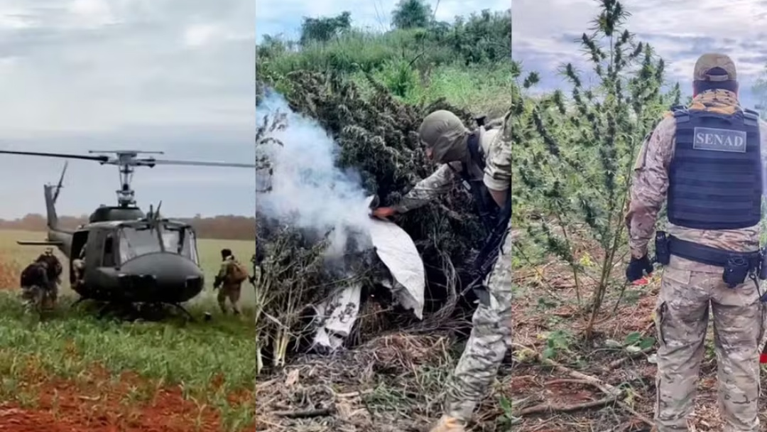 Em seis dias, 200 toneladas de maconha s&atilde;o apreendidas em opera&ccedil;&atilde;o na fronteira 