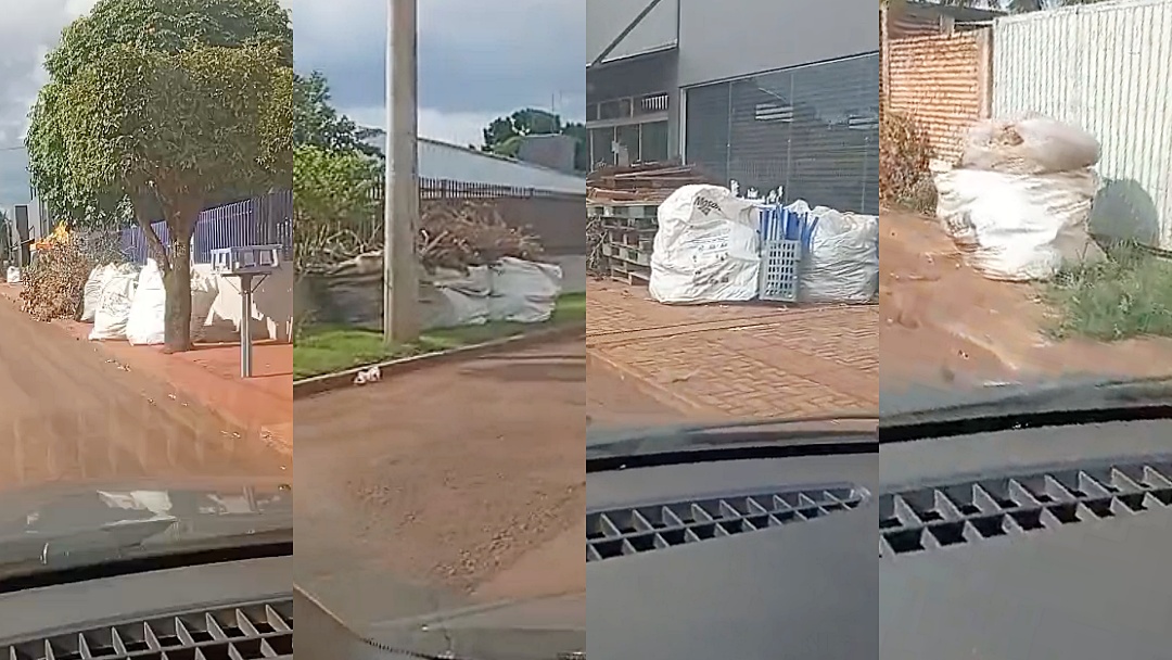 Terceiriza&ccedil;&atilde;o da coleta de bags n&atilde;o resolve ac&uacute;mulo de bags em cal&ccedil;ados e canteiros centrais