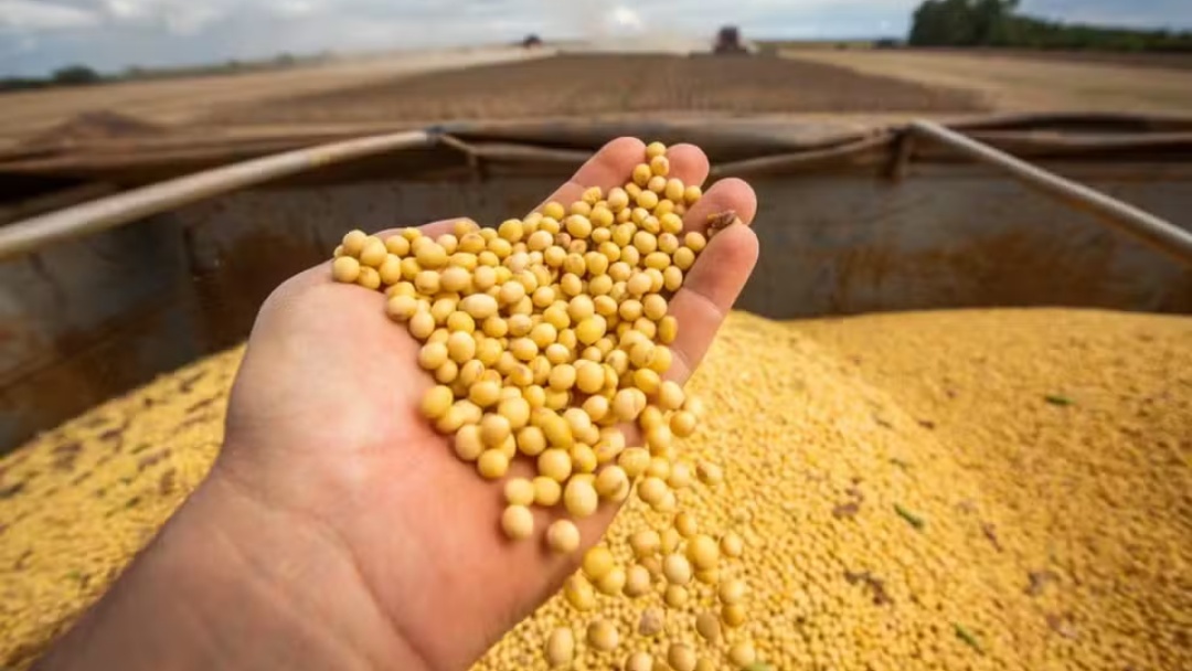 Motorista &eacute; condenado ap&oacute;s abandonar carga de soja e caminh&atilde;o ser furtado em MS