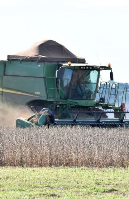 Mato Grosso do Sul registra a maior safra de soja da hist&oacute;ria   