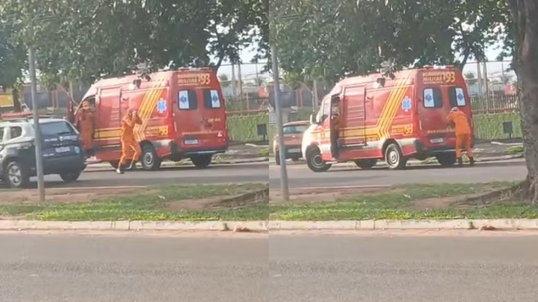 Militares s&atilde;o atacados por abelhas durante ocorr&ecirc;ncia de enxame em Campo Grande