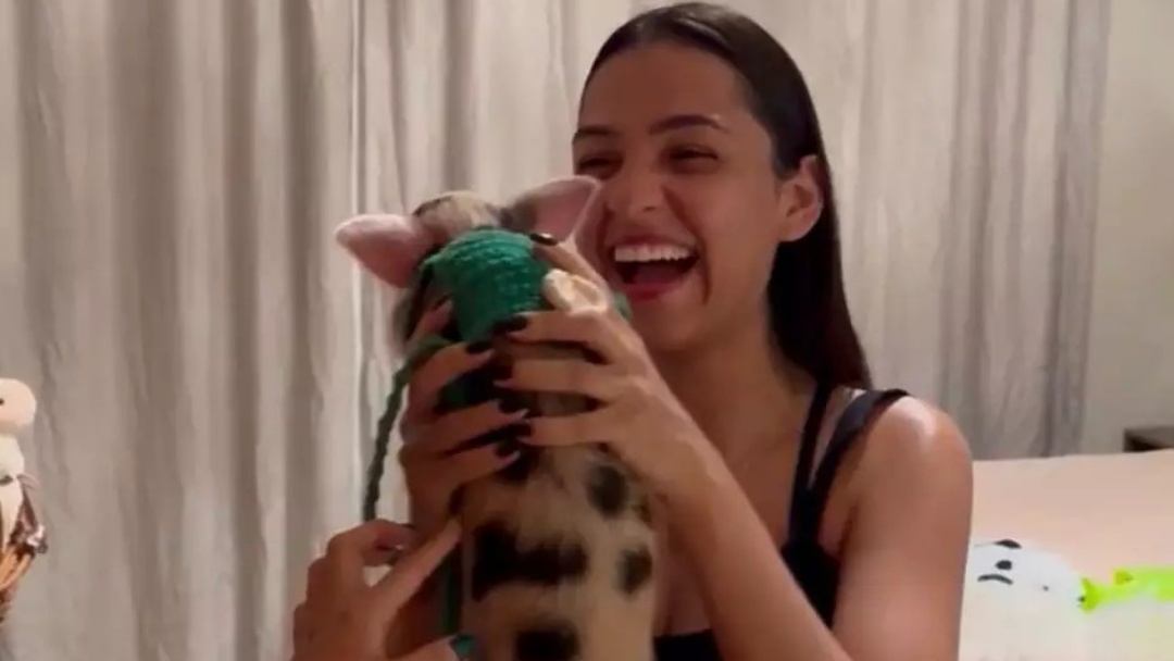 Porco passeia pelas ruas de Sidrol&acirc;ndia levado de coleira pela dona e chama aten&ccedil;&atilde;o por onde passa