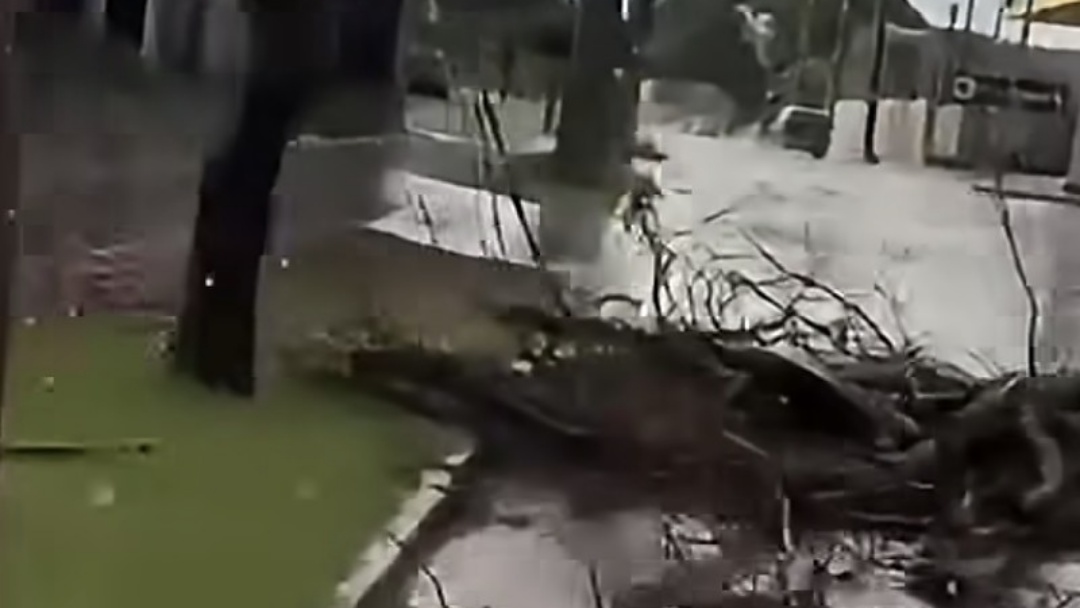Tempestade provoca alagamentos e queda de &aacute;rvores em Campo Grande