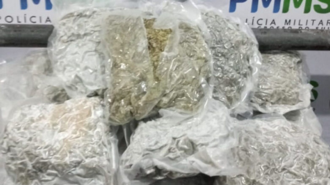 Rapaz &eacute; preso tentando embarcar com skunk em terminal rodovi&aacute;rio