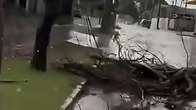 Tempestade provoca alagamentos e queda de &aacute;rvores em Campo Grande