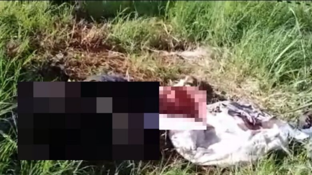 Homem &eacute; assassinado e tem m&atilde;os e p&eacute;s amarrados; pol&iacute;cia investiga a&ccedil;&atilde;o de 'justiceiros'