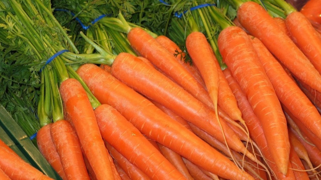 Cenoura dispara e tangerina lidera queda nos pre&ccedil;os na Ceasa-MS