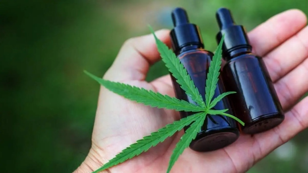 Governo Trump muda classifica&ccedil;&atilde;o e coloca maconha medicinal em categoria menos restritiva