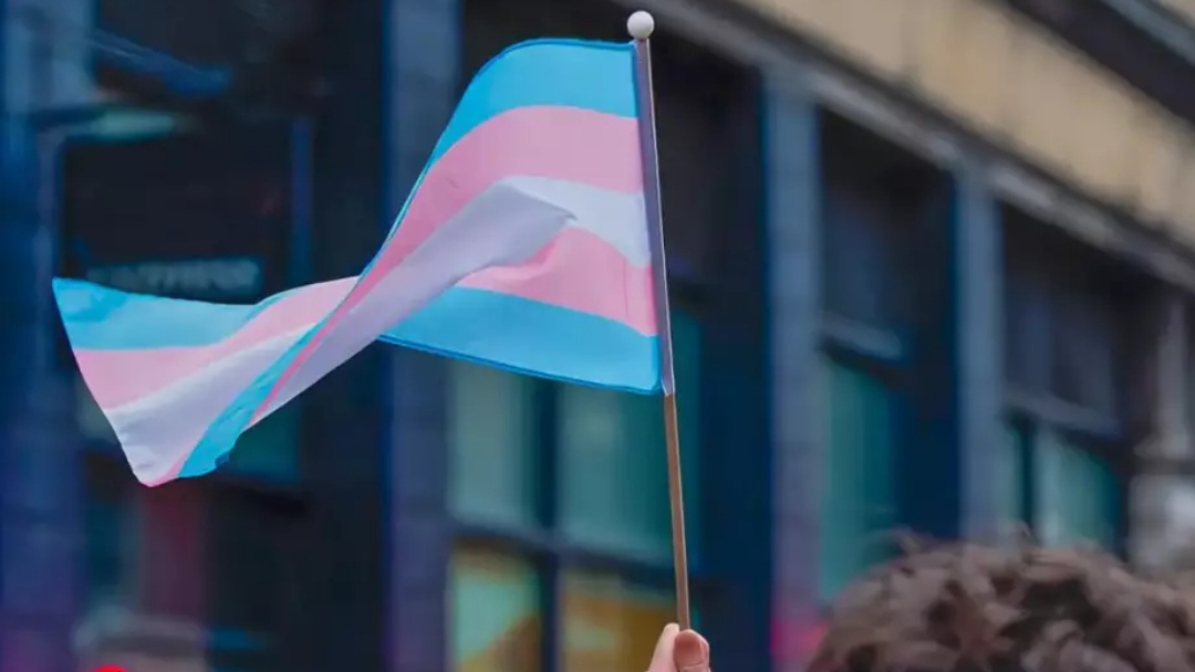 OAB/MS diz que lei que pro&iacute;be mulheres trans a usarem banheiros femininos `viola a dignidade humana`