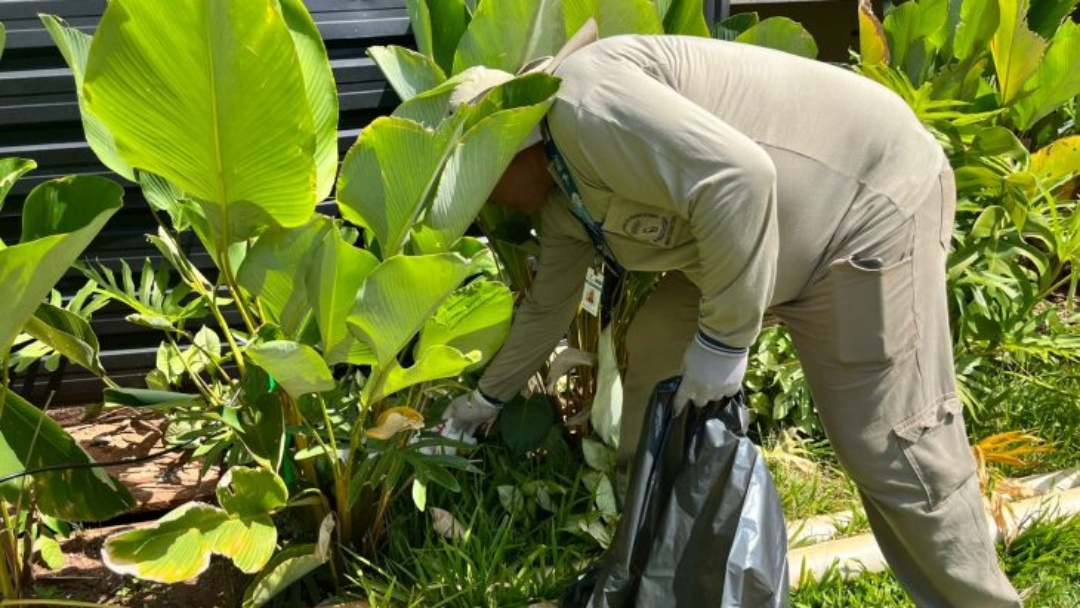 Boletim Epidemiol&oacute;gico: MS registra 3.490 casos confirmados de chikungunya