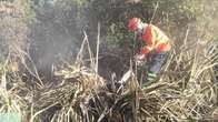 Bombeiros utilizaram 12 mil litros de &aacute;gua para apagar inc&ecirc;ndio no Pantanal