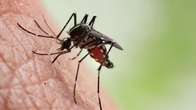 Dourados concentra 42% de todas as mortes por chikungunya no Brasil