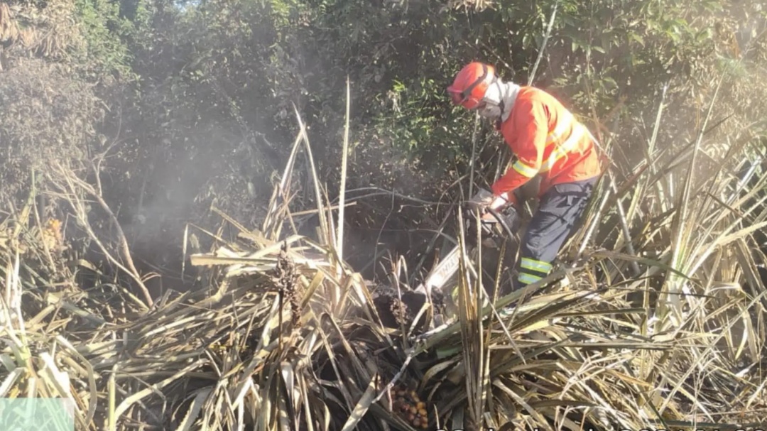 Bombeiros utilizaram 12 mil litros de &aacute;gua para apagar inc&ecirc;ndio no Pantanal
