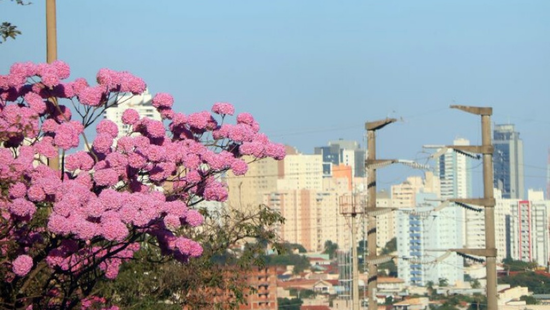 Tempo seco e calor de at&eacute; 36&deg;C marcam previs&atilde;o em MS