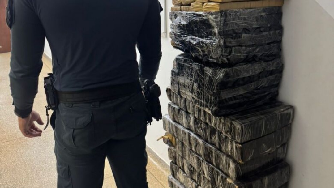 Mais de 200 kg de maconha s&atilde;o apreendidos ap&oacute;s carro colidir com vaca em rodovia de MS
