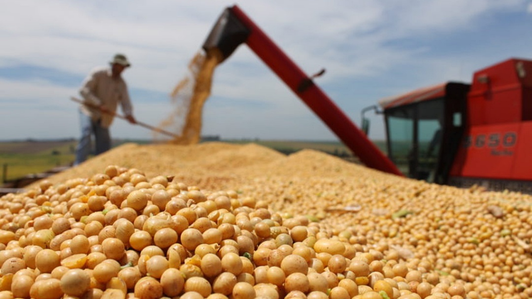 Produ&ccedil;&atilde;o de soja cresce 19,3% em Sidrol&acirc;ndia e se aproxima de 1 milh&atilde;o de toneladas