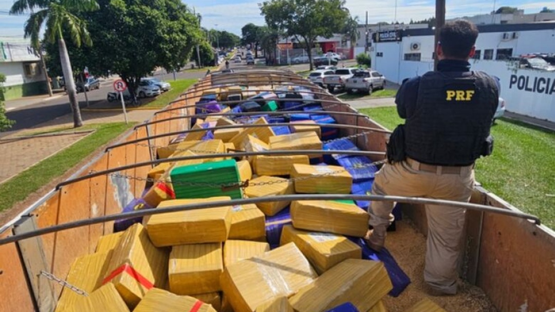 Motorista &eacute; preso com 8,3t de maconha em caminh&atilde;o