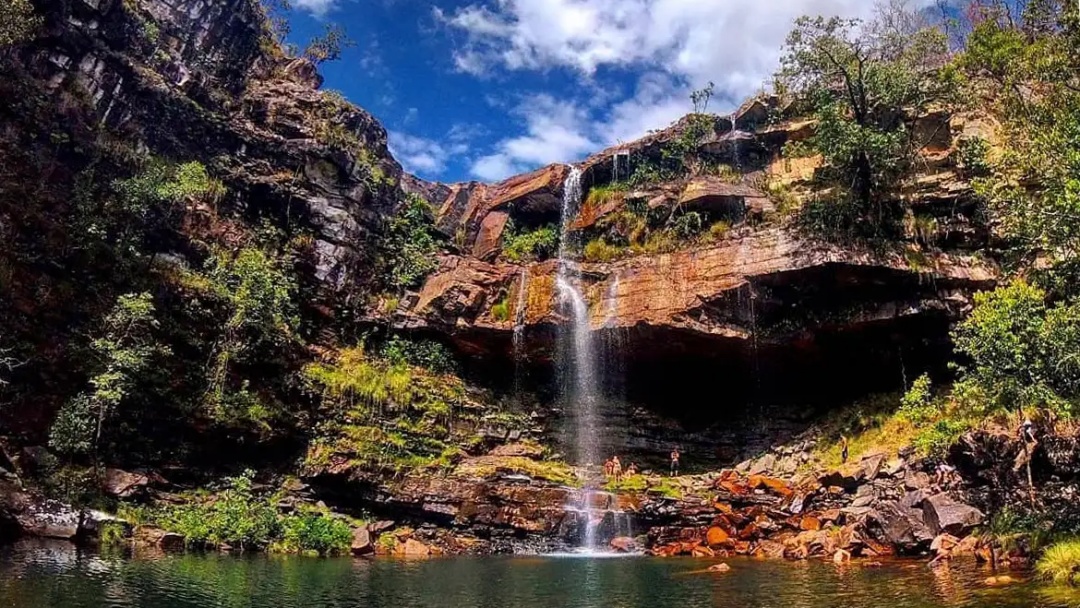 Criança de 8 anos é atacada por onça na Chapada dos Veadeiros