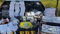 PRF apreende mais de 1,6 mil medicamentos emagrecedores e anabolizantes em MS