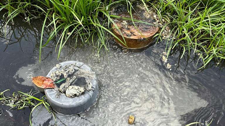Mesmo sem chuva, esgoto transborda e espalha mau cheiro em rua do P&eacute; de Cedro
