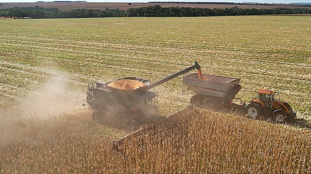 Produtor de Sidrol&acirc;ndia vai pagar ITR em 2026 com aumento de at&eacute; 83,5%