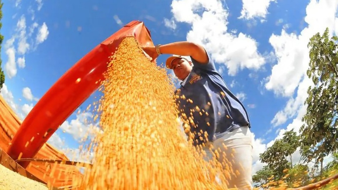 Exportações de soja de Mato Grosso Sul crescem 59% em abril