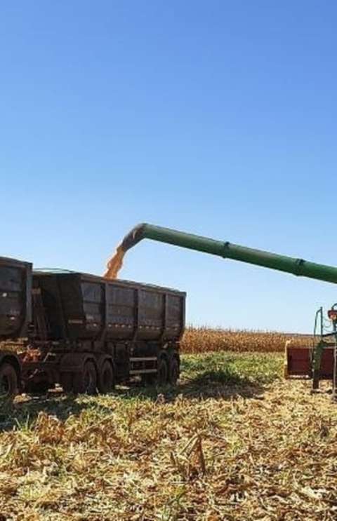 Maio favorece a recupera&ccedil;&atilde;o da umidade do solo em Mato Grosso do Sul