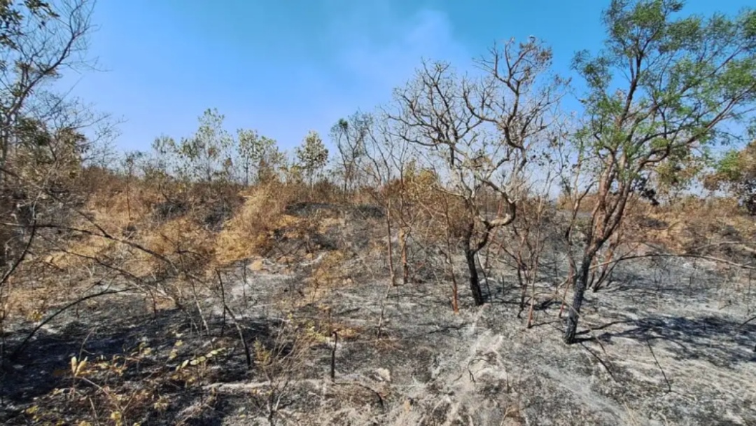 Mudanças climáticas já afetam 85% dos brasileiros, diz pesquisa