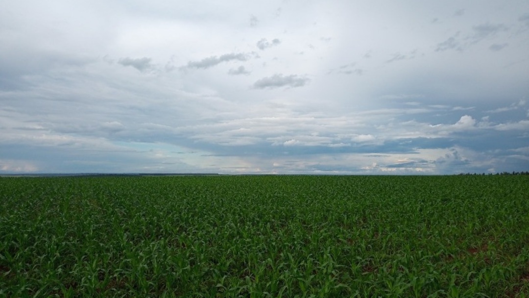 Frente fria pode provocar chuva isolada no sul de Mato Grosso do Sul