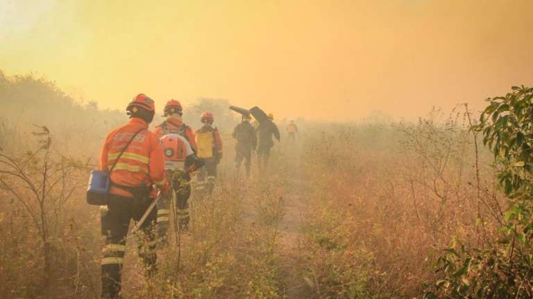 Pantanal sedia evento internacional sobre o uso do fogo na preven&ccedil;&atilde;o